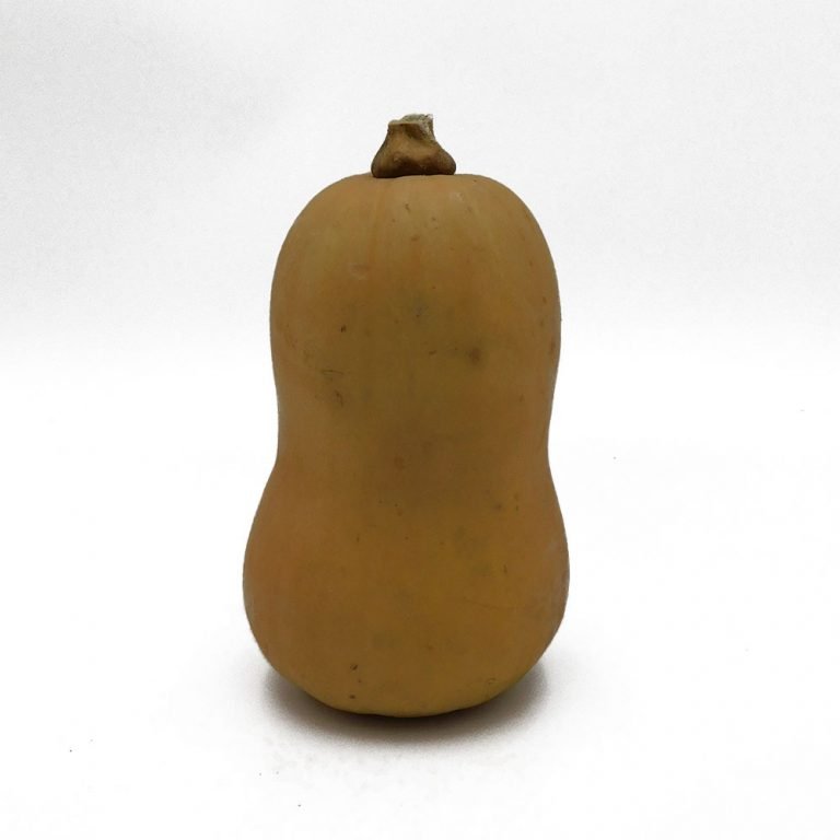 Butternut Squash Ted's Veg